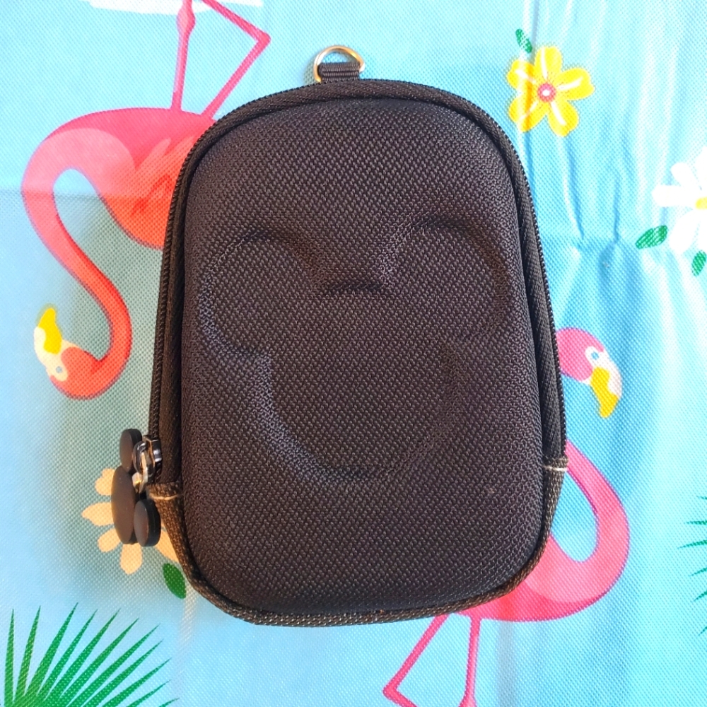Disney Parks Camera Case